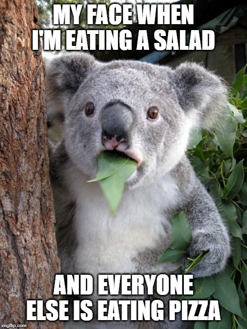 Surprised Koala Meme | MY FACE WHEN I'M EATING A SALAD; AND EVERYONE ELSE IS EATING PIZZA | image tagged in memes,surprised koala | made w/ Imgflip meme maker