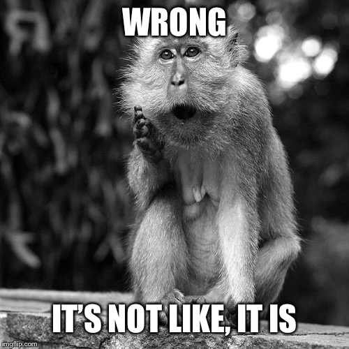 Wise Monkey | WRONG IT’S NOT LIKE, IT IS | image tagged in wise monkey | made w/ Imgflip meme maker
