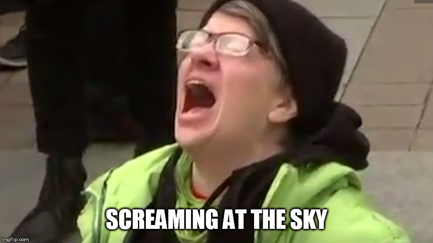 Screaming Liberal  | SCREAMING AT THE SKY | image tagged in screaming liberal | made w/ Imgflip meme maker