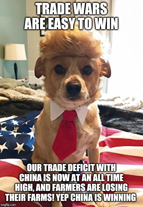 Batman Slapping Robin | TRADE WARS ARE EASY TO WIN; OUR TRADE DEFICIT WITH CHINA IS NOW AT AN ALL TIME HIGH, AND FARMERS ARE LOSING THEIR FARMS! YEP CHINA IS WINNING | image tagged in memes,batman slapping robin | made w/ Imgflip meme maker