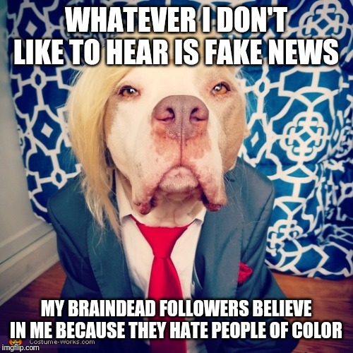 Creepy Condescending Wonka | WHATEVER I DON'T LIKE TO HEAR IS FAKE NEWS; MY BRAINDEAD FOLLOWERS BELIEVE IN ME BECAUSE THEY HATE PEOPLE OF COLOR | image tagged in memes,creepy condescending wonka,donald trump is an idiot | made w/ Imgflip meme maker