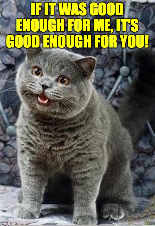 I can has cheezburger cat | IF IT WAS GOOD ENOUGH FOR ME, IT'S GOOD ENOUGH FOR YOU! | image tagged in i can has cheezburger cat | made w/ Imgflip meme maker