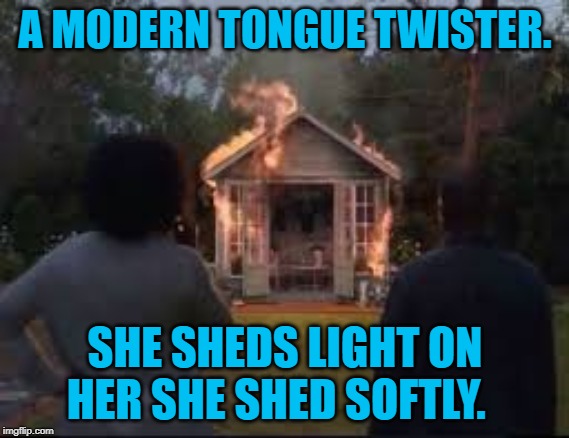 She Shed | A MODERN TONGUE TWISTER. SHE SHEDS LIGHT ON HER SHE SHED SOFTLY. | image tagged in funny | made w/ Imgflip meme maker