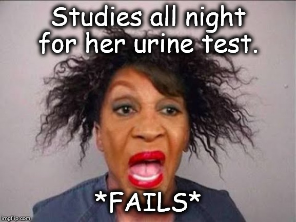 Maxine Peach | Studies all night for her urine test. *FAILS* | image tagged in maxine peach | made w/ Imgflip meme maker