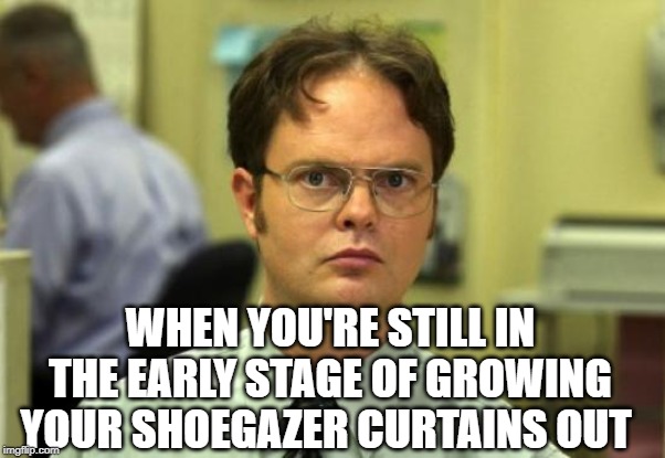 Shoegazer keep checking the mirror | WHEN YOU'RE STILL IN THE EARLY STAGE OF GROWING YOUR SHOEGAZER CURTAINS OUT | image tagged in memes,dwight schrute,curtains hair,shoegaze,shoegaze memes,shoegaze fashion | made w/ Imgflip meme maker