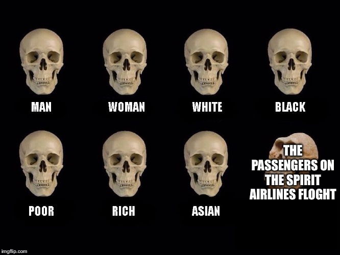 empty skulls of truth | THE PASSENGERS ON THE SPIRIT AIRLINES FLIGHT | image tagged in empty skulls of truth | made w/ Imgflip meme maker