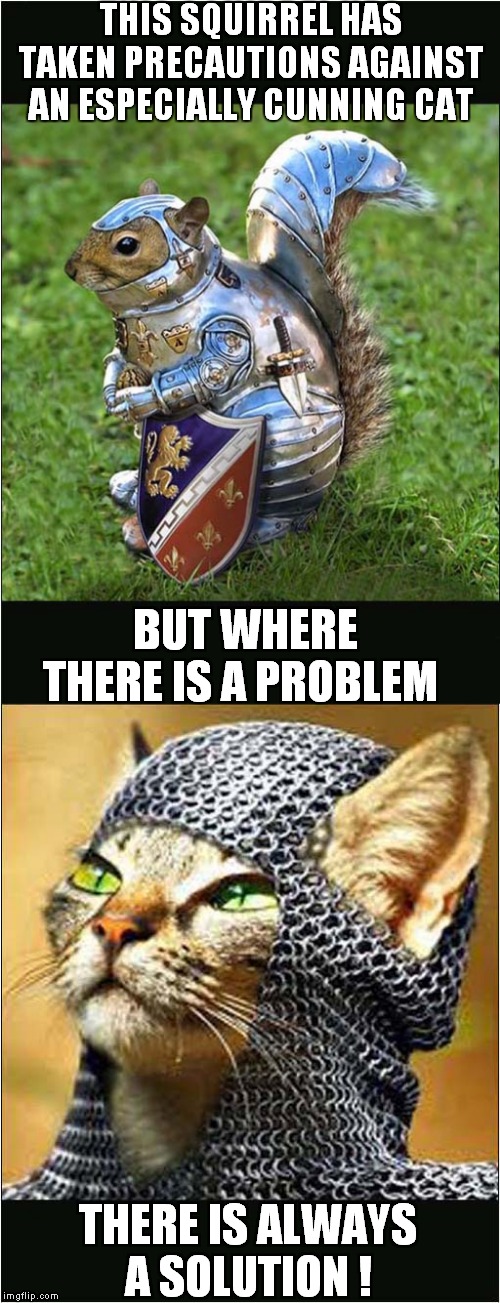 Squirrel Vs Cat - Medieval Style | THIS SQUIRREL HAS TAKEN PRECAUTIONS AGAINST AN ESPECIALLY CUNNING CAT; BUT WHERE THERE IS A PROBLEM; THERE IS ALWAYS A SOLUTION ! | image tagged in fun,cats,squirrel,armour | made w/ Imgflip meme maker