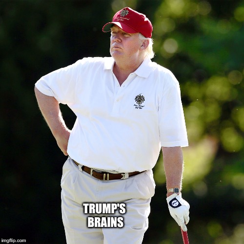 Trump golf relax | TRUMP'S 
BRAINS | image tagged in trump golf relax | made w/ Imgflip meme maker