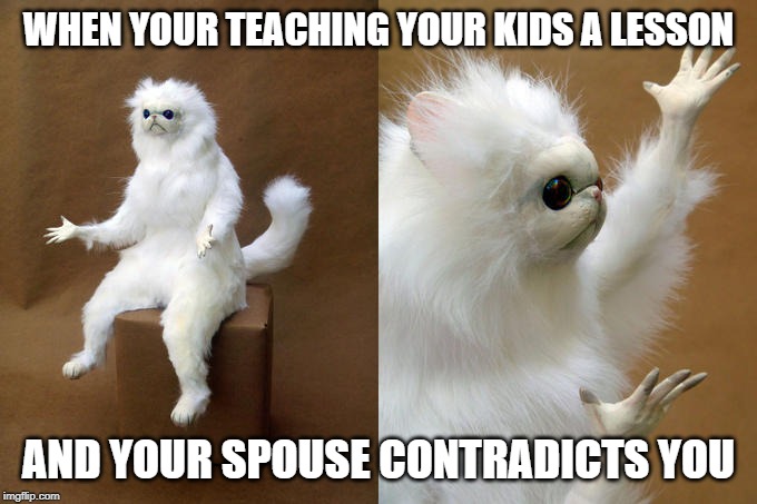 Persian Cat Room Guardian | WHEN YOUR TEACHING YOUR KIDS A LESSON; AND YOUR SPOUSE CONTRADICTS YOU | image tagged in memes,persian cat room guardian | made w/ Imgflip meme maker