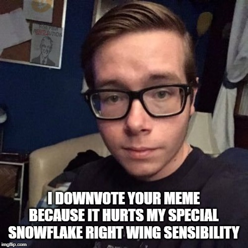 I DOWNVOTE YOUR MEME BECAUSE IT HURTS MY SPECIAL SNOWFLAKE RIGHT WING SENSIBILITY | image tagged in nikolas lemini | made w/ Imgflip meme maker