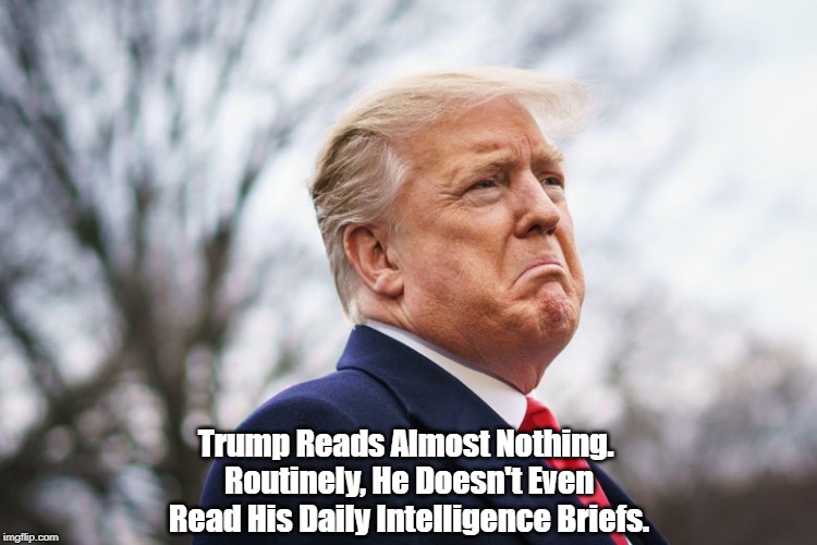 Trump Reads Almost Nothing. 
Routinely, He Doesn't Even Read His Daily Intelligence Briefs. | made w/ Imgflip meme maker