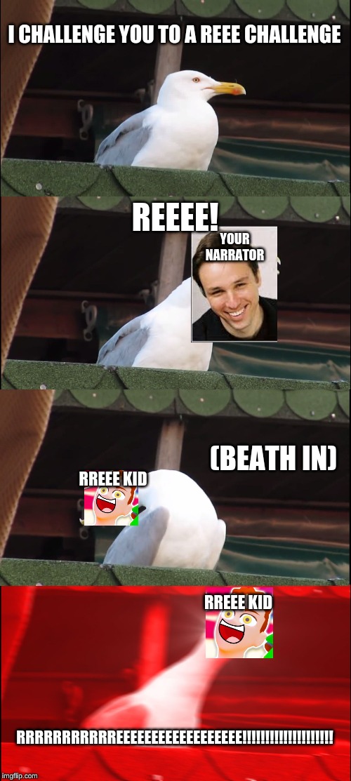 Inhaling Seagull | I CHALLENGE YOU TO A REEE CHALLENGE; REEEE! YOUR NARRATOR; (BEATH IN); RREEE KID; RREEE KID; RRRRRRRRRRREEEEEEEEEEEEEEEEEE!!!!!!!!!!!!!!!!!!!! | image tagged in memes,inhaling seagull | made w/ Imgflip meme maker