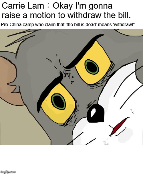 Unsettled Tom | Carrie Lam：Okay I'm gonna raise a motion to withdraw the bill. Pro-China camp who claim that 'the bill is dead' means 'withdrawl': | image tagged in memes,unsettled tom | made w/ Imgflip meme maker