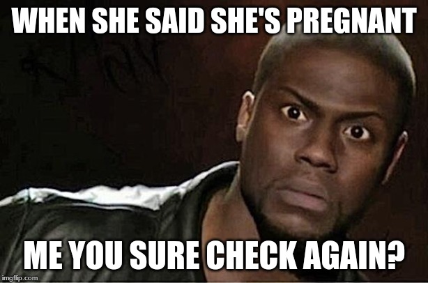 Kevin Hart Meme | WHEN SHE SAID SHE'S PREGNANT; ME YOU SURE CHECK AGAIN? | image tagged in memes,kevin hart | made w/ Imgflip meme maker