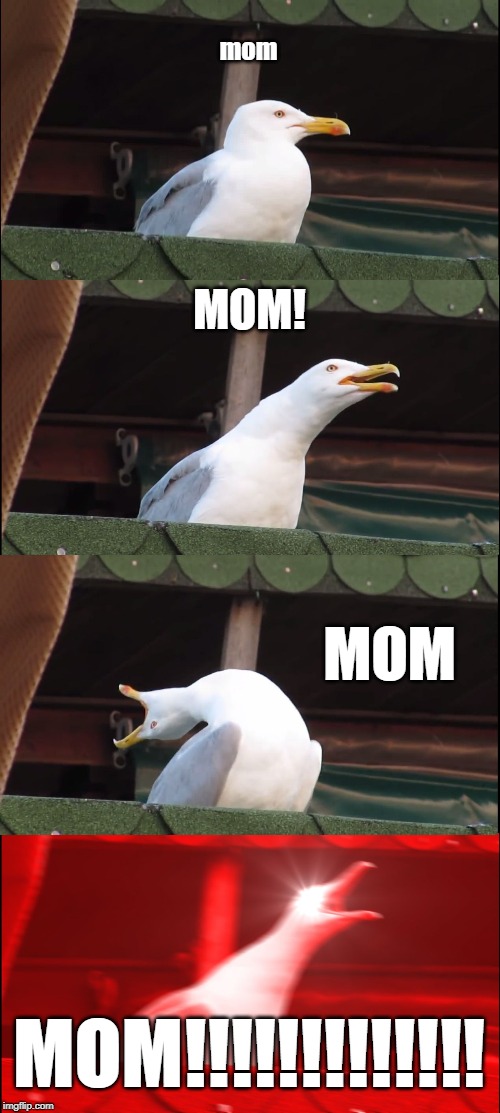 Inhaling Seagull Meme | mom; MOM! MOM; MOM!!!!!!!!!!!!! | image tagged in memes,inhaling seagull | made w/ Imgflip meme maker