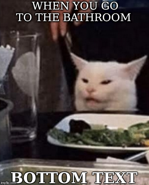WHEN YOU GO TO THE BATHROOM; BOTTOM TEXT | image tagged in cat,cats,funny cats,bathroom,bathroom humor,shrek cat | made w/ Imgflip meme maker