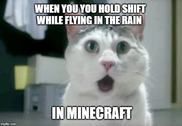 OMG Cat | WHEN YOU YOU HOLD SHIFT WHILE FLYING IN THE RAIN; IN MINECRAFT | image tagged in memes,omg cat | made w/ Imgflip meme maker