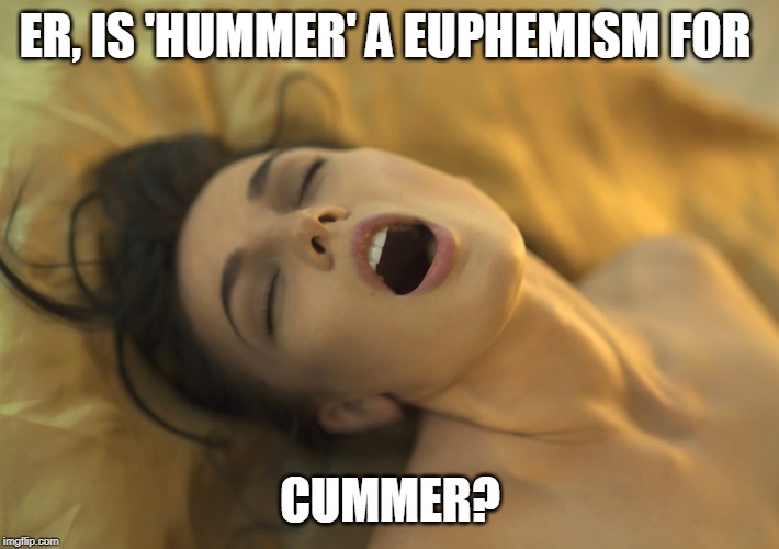 ER, IS 'HUMMER' A EUPHEMISM FOR CUMMER? | made w/ Imgflip meme maker