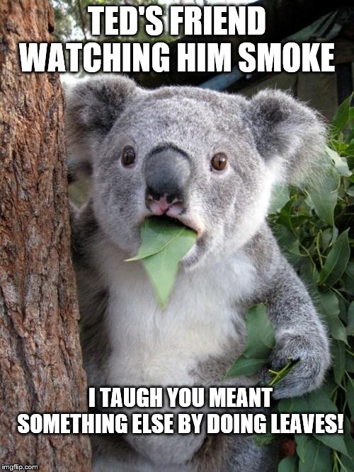 Surprised Koala | TED'S FRIEND WATCHING HIM SMOKE; I TAUGH YOU MEANT SOMETHING ELSE BY DOING LEAVES! | image tagged in memes,surprised koala | made w/ Imgflip meme maker