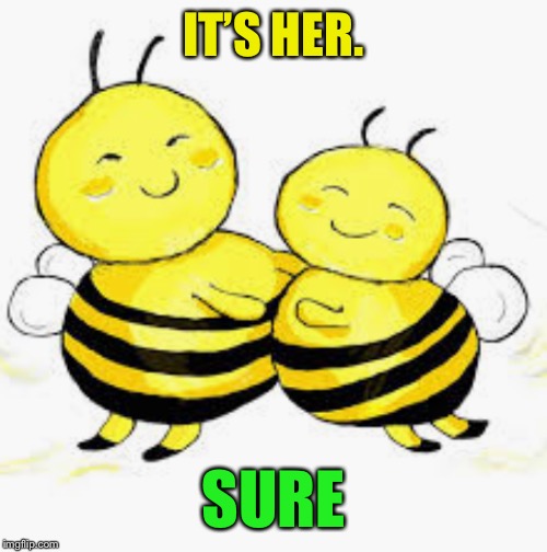 IT’S HER. SURE | made w/ Imgflip meme maker