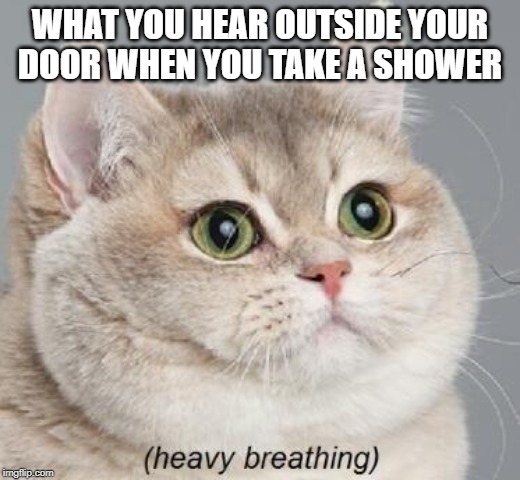 Heavy Breathing Cat | WHAT YOU HEAR OUTSIDE YOUR DOOR WHEN YOU TAKE A SHOWER | image tagged in memes,heavy breathing cat | made w/ Imgflip meme maker