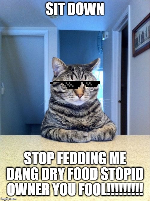 Take A Seat Cat Meme | SIT DOWN; STOP FEDDING ME DANG DRY FOOD STOPID OWNER YOU FOOL!!!!!!!!! | image tagged in memes,take a seat cat | made w/ Imgflip meme maker
