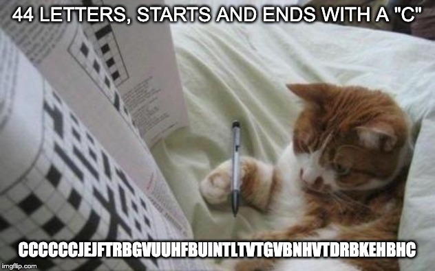 Yubikey | 44 LETTERS, STARTS AND ENDS WITH A "C"; CCCCCCJEJFTRBGVUUHFBUINTLTVTGVBNHVTDRBKEHBHC | image tagged in cat crossword,yubikey,yubi,crossword,capital one | made w/ Imgflip meme maker
