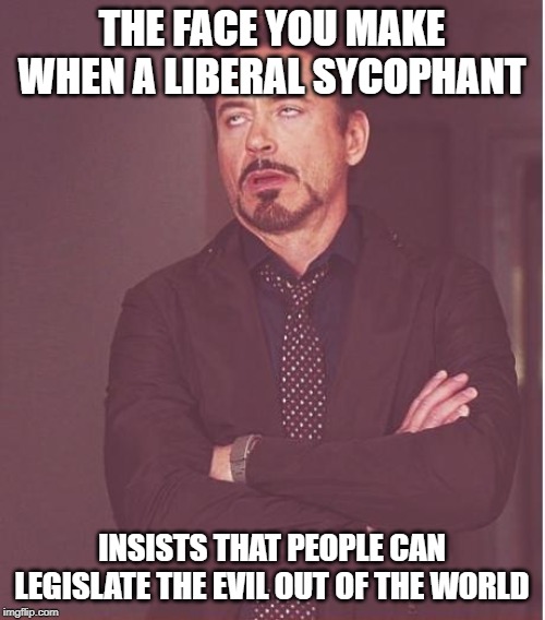 Face You Make Robert Downey Jr Meme | THE FACE YOU MAKE WHEN A LIBERAL SYCOPHANT INSISTS THAT PEOPLE CAN LEGISLATE THE EVIL OUT OF THE WORLD | image tagged in memes,face you make robert downey jr | made w/ Imgflip meme maker