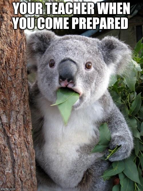 Surprised Koala Meme | YOUR TEACHER WHEN YOU COME PREPARED | image tagged in memes,surprised koala | made w/ Imgflip meme maker