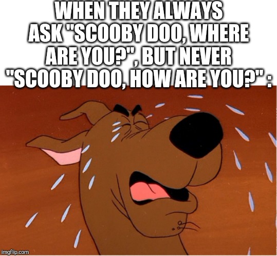 WHEN THEY ALWAYS ASK "SCOOBY DOO, WHERE ARE YOU?", BUT NEVER "SCOOBY DOO, HOW ARE YOU?" : | image tagged in scooby doo | made w/ Imgflip meme maker