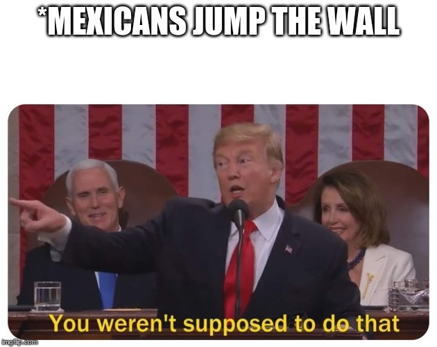 You weren't supposed to do that | *MEXICANS JUMP THE WALL | image tagged in you weren't supposed to do that | made w/ Imgflip meme maker