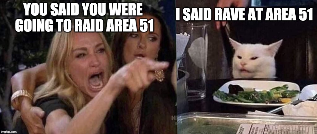 woman yelling at cat |  I SAID RAVE AT AREA 51; YOU SAID YOU WERE 



GOING TO RAID AREA 51 | image tagged in woman yelling at cat | made w/ Imgflip meme maker