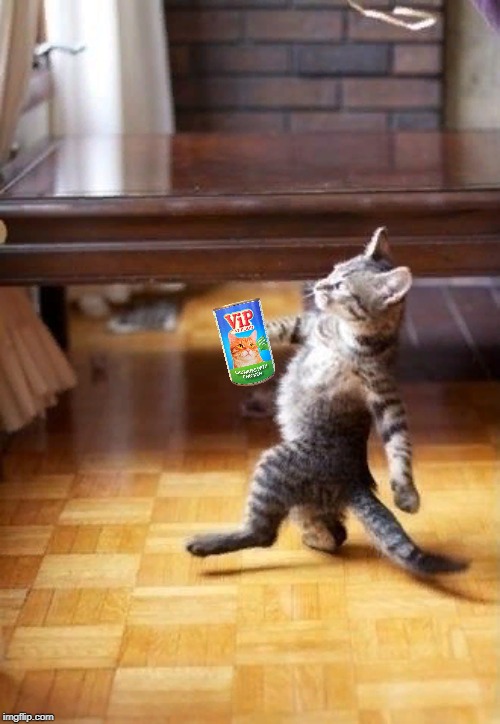 Cool Cat Stroll | image tagged in memes,cool cat stroll | made w/ Imgflip meme maker