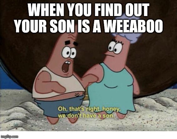 We Don't have a son | WHEN YOU FIND OUT YOUR SON IS A WEEABOO | image tagged in we don't have a son,memes,weeaboo | made w/ Imgflip meme maker