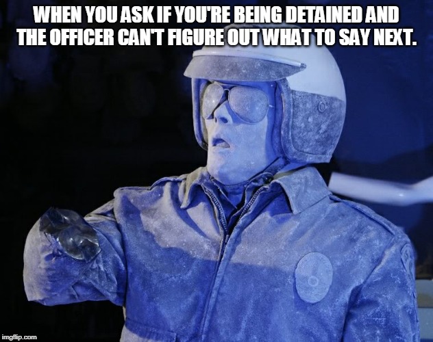 Terminator cop after being asked if he's detaining you | WHEN YOU ASK IF YOU'RE BEING DETAINED AND THE OFFICER CAN'T FIGURE OUT WHAT TO SAY NEXT. | image tagged in frozen terminator,libertarian,am i being detained,illegal stop | made w/ Imgflip meme maker