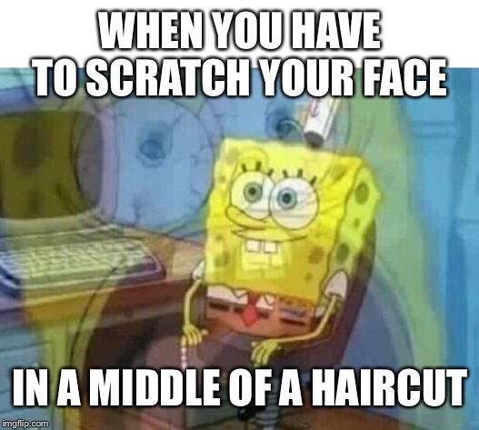Internal screaming | WHEN YOU HAVE TO SCRATCH YOUR FACE; IN A MIDDLE OF A HAIRCUT | image tagged in internal screaming | made w/ Imgflip meme maker