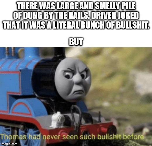 Thomas had never seen such bullshit before | THERE WAS LARGE AND SMELLY PILE OF DUNG BY THE RAILS. DRIVER JOKED THAT IT WAS A LITERAL BUNCH OF BULLSHIT. BUT | image tagged in thomas had never seen such bullshit before | made w/ Imgflip meme maker