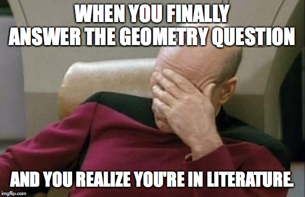 Captain Picard Facepalm Meme | WHEN YOU FINALLY ANSWER THE GEOMETRY QUESTION; AND YOU REALIZE YOU'RE IN LITERATURE. | image tagged in memes,captain picard facepalm | made w/ Imgflip meme maker