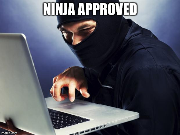 Ninja | NINJA APPROVED | image tagged in ninja | made w/ Imgflip meme maker