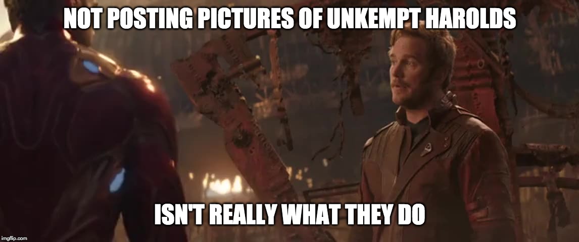 NOT POSTING PICTURES OF UNKEMPT HAROLDS; ISN'T REALLY WHAT THEY DO | made w/ Imgflip meme maker