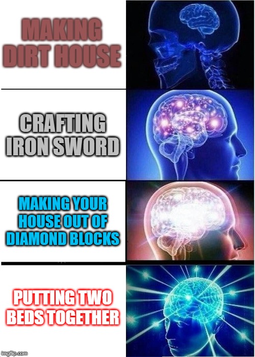 Expanding Brain Meme | MAKING DIRT HOUSE; CRAFTING IRON SWORD; MAKING YOUR HOUSE OUT OF DIAMOND BLOCKS; PUTTING TWO BEDS TOGETHER | image tagged in memes,expanding brain | made w/ Imgflip meme maker