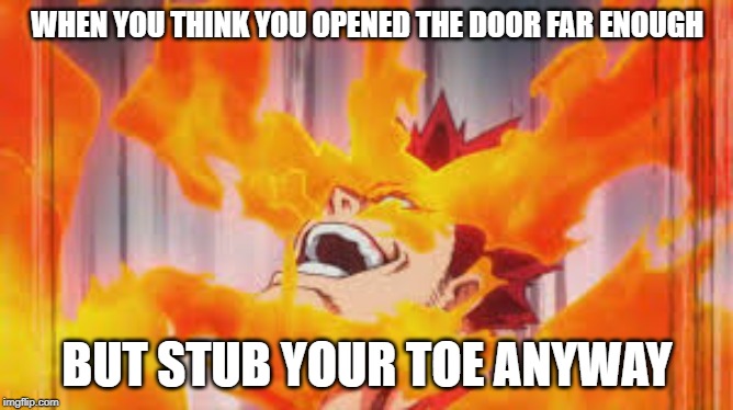 WHEN YOU THINK YOU OPENED THE DOOR FAR ENOUGH; BUT STUB YOUR TOE ANYWAY | made w/ Imgflip meme maker