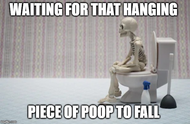 Reality | WAITING FOR THAT HANGING; PIECE OF POOP TO FALL | image tagged in waiting skeleton | made w/ Imgflip meme maker