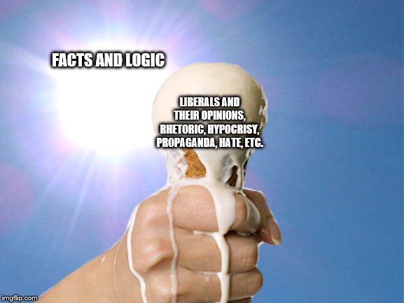 Accurate? | FACTS AND LOGIC; LIBERALS AND THEIR OPINIONS, RHETORIC, HYPOCRISY, PROPAGANDA, HATE, ETC. | image tagged in crying liberals,liberal hypocrisy,snowflakes,ice cream,dessert | made w/ Imgflip meme maker