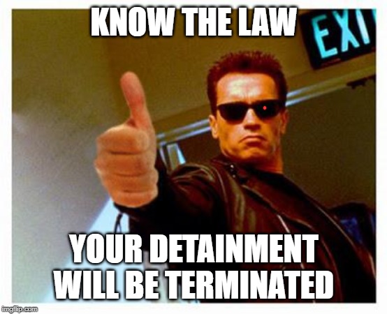 terminator thumbs up | KNOW THE LAW YOUR DETAINMENT WILL BE TERMINATED | image tagged in terminator thumbs up | made w/ Imgflip meme maker