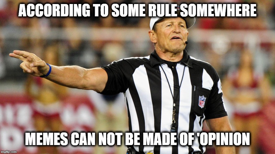 Logical Fallacy Referee | ACCORDING TO SOME RULE SOMEWHERE MEMES CAN NOT BE MADE OF 'OPINION | image tagged in logical fallacy referee | made w/ Imgflip meme maker
