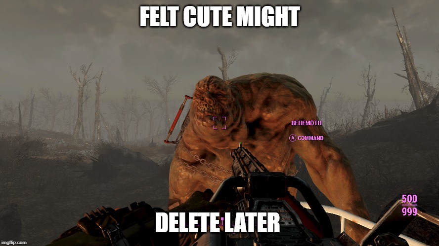Felt cute | FELT CUTE MIGHT; DELETE LATER | image tagged in fallout 4 | made w/ Imgflip meme maker