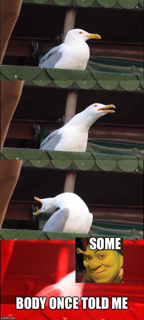 Inhaling Seagull Meme | SOME; BODY ONCE TOLD ME | image tagged in memes,inhaling seagull | made w/ Imgflip meme maker