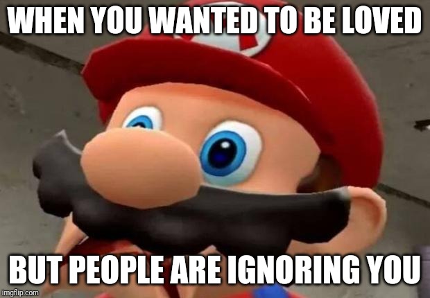 Mario WTF | WHEN YOU WANTED TO BE LOVED; BUT PEOPLE ARE IGNORING YOU | image tagged in mario wtf | made w/ Imgflip meme maker