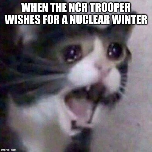 DONT SAY IT AGAIN | WHEN THE NCR TROOPER WISHES FOR A NUCLEAR WINTER | image tagged in fallout new vegas | made w/ Imgflip meme maker